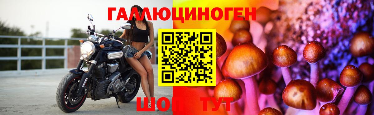 Галлюциногенные грибы MAGIC MUSHROOMS  купить   Каменка  Вход с VPN  Псилоцибиновые грибы мицелий 